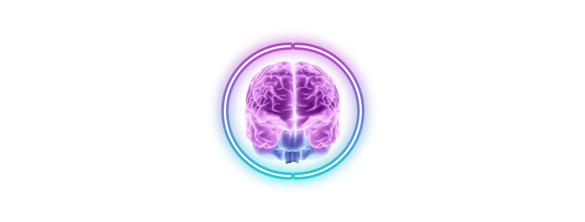 PN Website Logo 2050 x 780